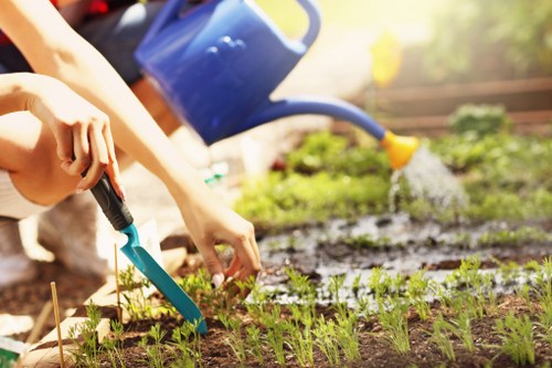 Landscaping worker planning a garden project