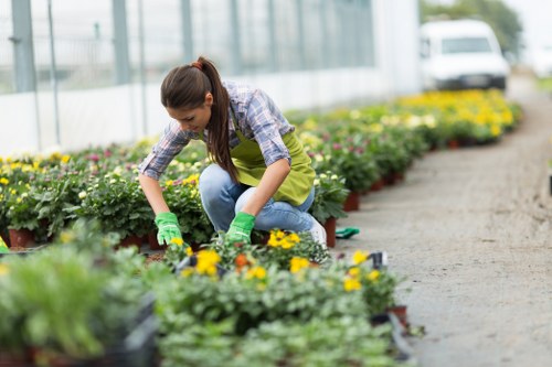 Choice of patio paving styles for local homes