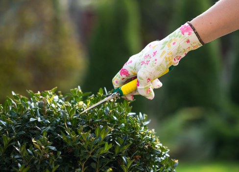 A professionally landscaped garden in Upminster with neat lawns and structured planting