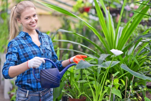 Landscaping in Upminster with structured garden design and planting