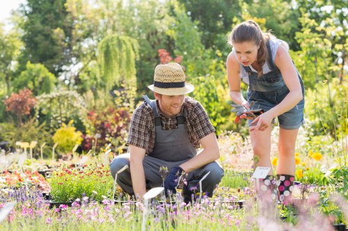 Final review of safe landscaping practices on site