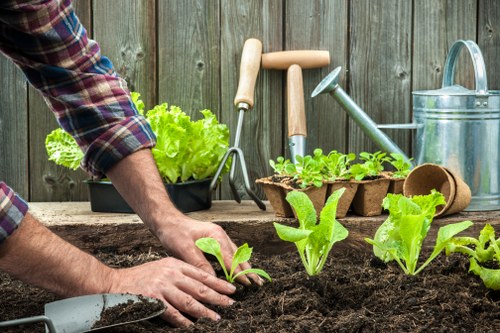Risk assessment process for safe landscaping in Upminster