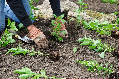 Local team carrying out groundworks for garden drainage