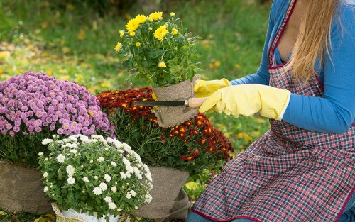 Visual for screen-reader friendly landscaping information
