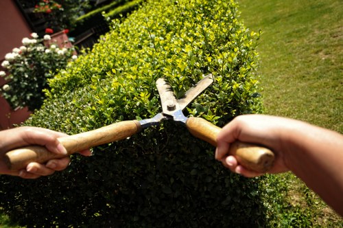Ethical landscaping operations with human rights focus