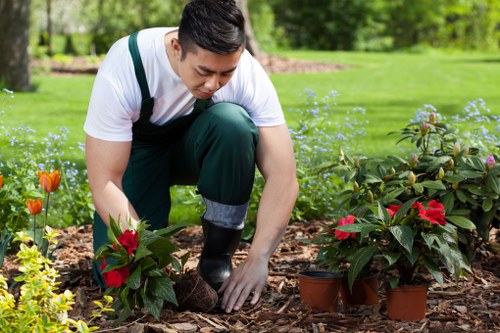 Free quote policy for landscaping services in Upminster