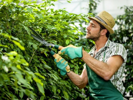 Local garden landscaping features suitable for Upminster homes