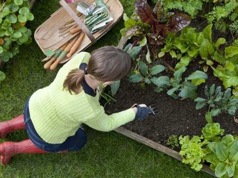 Landscape design in Upminster featuring paths and boundary screening