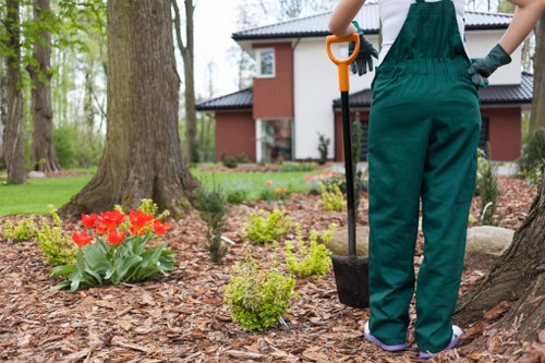 Local garden landscaping work showing ground preparation and outdoor design planning