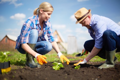 Accessibility-focused landscaping page for Upminster visitors